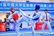 开云-跆拳道锦标赛上演强强对话，岭南貔貅队大胜渝州灰熊队，战术调整见效；临场应变见真章(2023全国跆拳道锦标赛回放视频全部)
