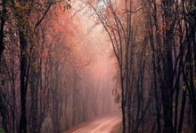 开云-法兰克福内部会议纪要流出——关键时刻强势反弹；中超使命明确；临场指挥获称赞的简单介绍